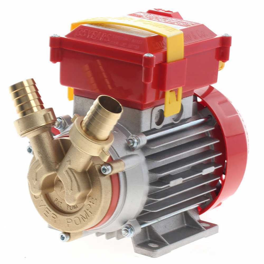 https://www.agrieuro.de/share/media/images/products/web-zoom/1020/elektrische-umfllpumpe-rover-25-ce-einphasiger-motor-0-8-ps-elektropumpe--agrieuro_1020_3.jpg